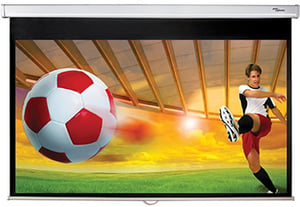 Optoma DS-9092PWC Projektionsleinwand 2,34 m (92") 16:9