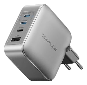 EcoFlow RAPID Pro Universal Silber Wechselstrom Innen