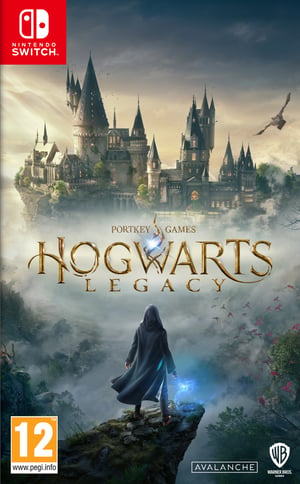 Warner Bros. Games Hogwarts Legacy Standardowy Angielski Nintendo Switch