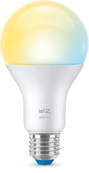 WiZ 100 W A67 E27 Light Bulb