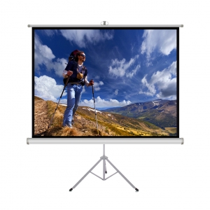 ART ER T84 4:3 projector screen