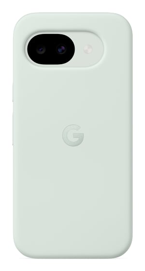 Google GA10872-WW mobilskal 16 cm (6,3") Grönt