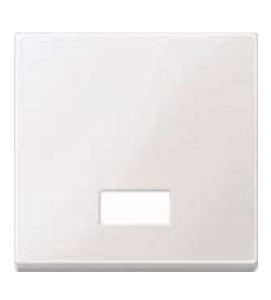 Merten 432819 Light Switch, Thermoplastic, White