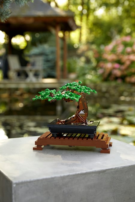 LEGO Botanicals Drzewko bonsai