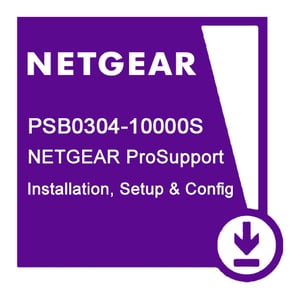NETGEAR PSB0304 1 x Lizenz