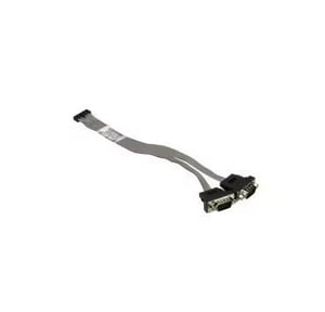 Supermicro CBL-CUSB-0984 Kabeladapter 2 x 9-Pin auf 20-Pin, Schwarz, Grau