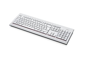 Fujitsu KB521 Büro-Tastatur USB QWERTY Japanisch, US-Englisch Grau