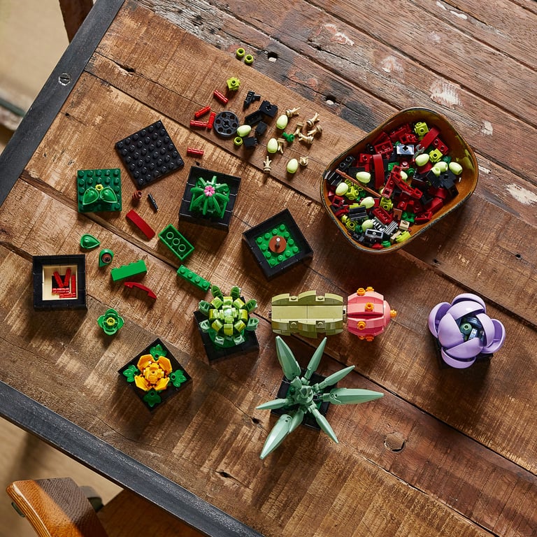 фото Блоковий конструктор LEGO Botanicals Сукуленти (10309)