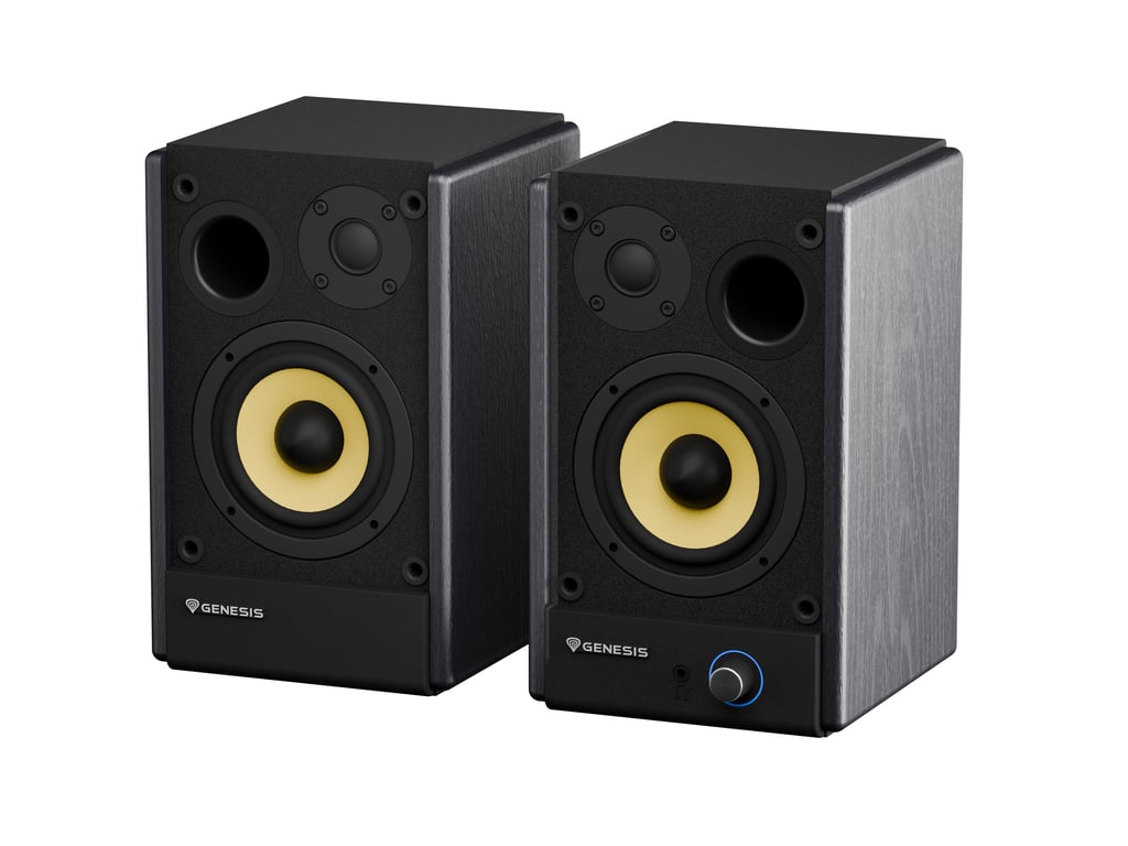 фото Акустические колонки Genesis Arsen 402BT Black (NGS-2415) 3