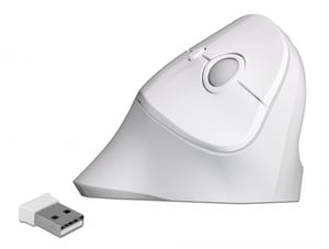 DeLOCK 12596 Office Mouse (Right-Handed) RF Wireless 1600 DPI