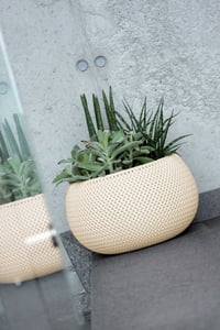 Prosperplast DKSP180-S449 Flower Pot, White, 1 pc.