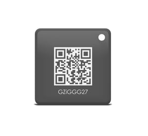 iGET M3P22 RFID-Etikett Grau