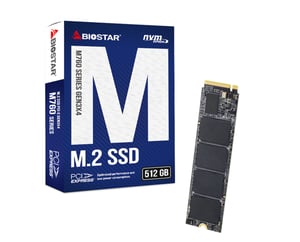 Biostar M760 128 GB M.2 PCI Express 4.0 NVMe