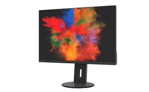 Fujitsu Displays B2410 WS monitor komputerowy 61,2 cm (24.1") 1920 x 1200 px WUXGA LED Czarny