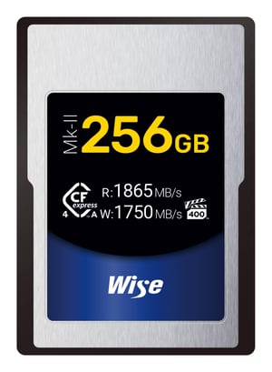 Wise CFX4-A256M2 pamięć flash 256 GB CFexpress typ A TLC