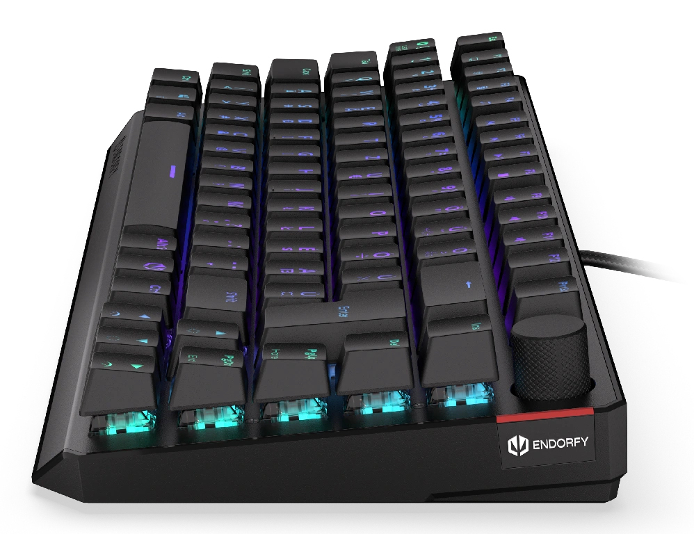 ENDORFY EY5E007 klawiatura Gaming USB Węgierski Czarny