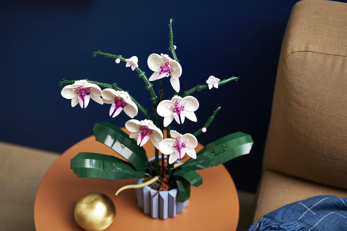 LEGO Botanicals Orchidea