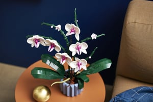 LEGO Botanicals Orchidea