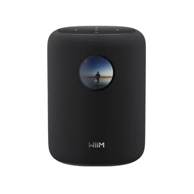 WiiM Sound 2-drożny Czarny Przewodowy i Bezprzewodowy 100 W