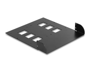 DeLOCK Metall-Einbaurahmen 5,25″ für 2 mobile Einschübe 47011/47005