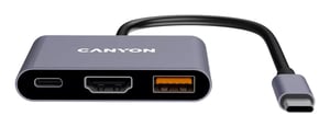 Canyon DS-4 USB Typ C 10000 Mbit/s Grau