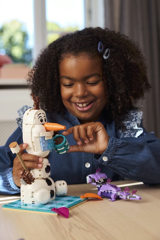 LEGO Disney Princess Piknik Olafa i Bruniego