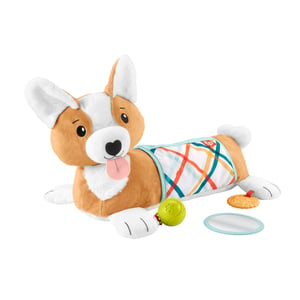 Fisher-Price HJW10 zabawka edukacyjna