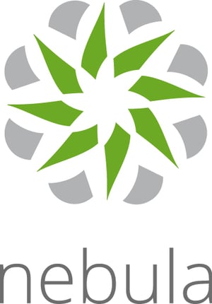 Zyxel LIC-NPRO-ZZ1Y00F – Softwarelizenz und Updates: 1 x Lizenz für 1 Jahr(e)
