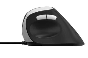 Rapoo EV200 myszka Biuro Po prawej stronie USB Typu-A Optyczny 1600 DPI
