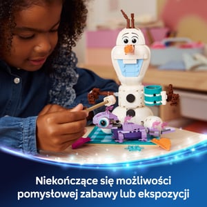 LEGO Disney Princess Piknik Olafa i Bruniego