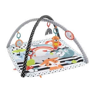 Fisher-Price HBP41 Play/Exercise Mat Fabric, Plastic Multicolored Baby Gym