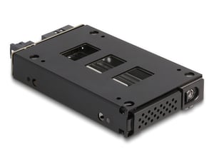 DeLOCK Tragbares Slim-Gehäuse für 1 x 2,5″ U.2 NVMe SSD