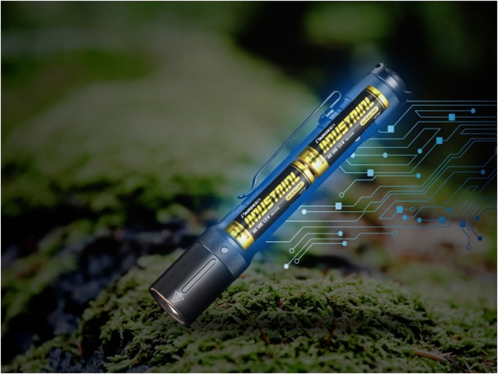 Fenix E20 V2.0 latarka Czarny Latarka ręczna LED