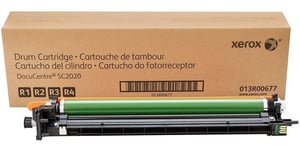 Xerox 013R00677 Tonertrommel, Original, 1 Stück