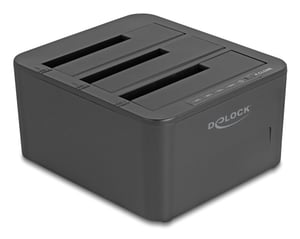 DeLOCK 64332 USB 3.2 Gen 1 (3.1 Gen 1) Type-B Hard Drive Docking Station, Black