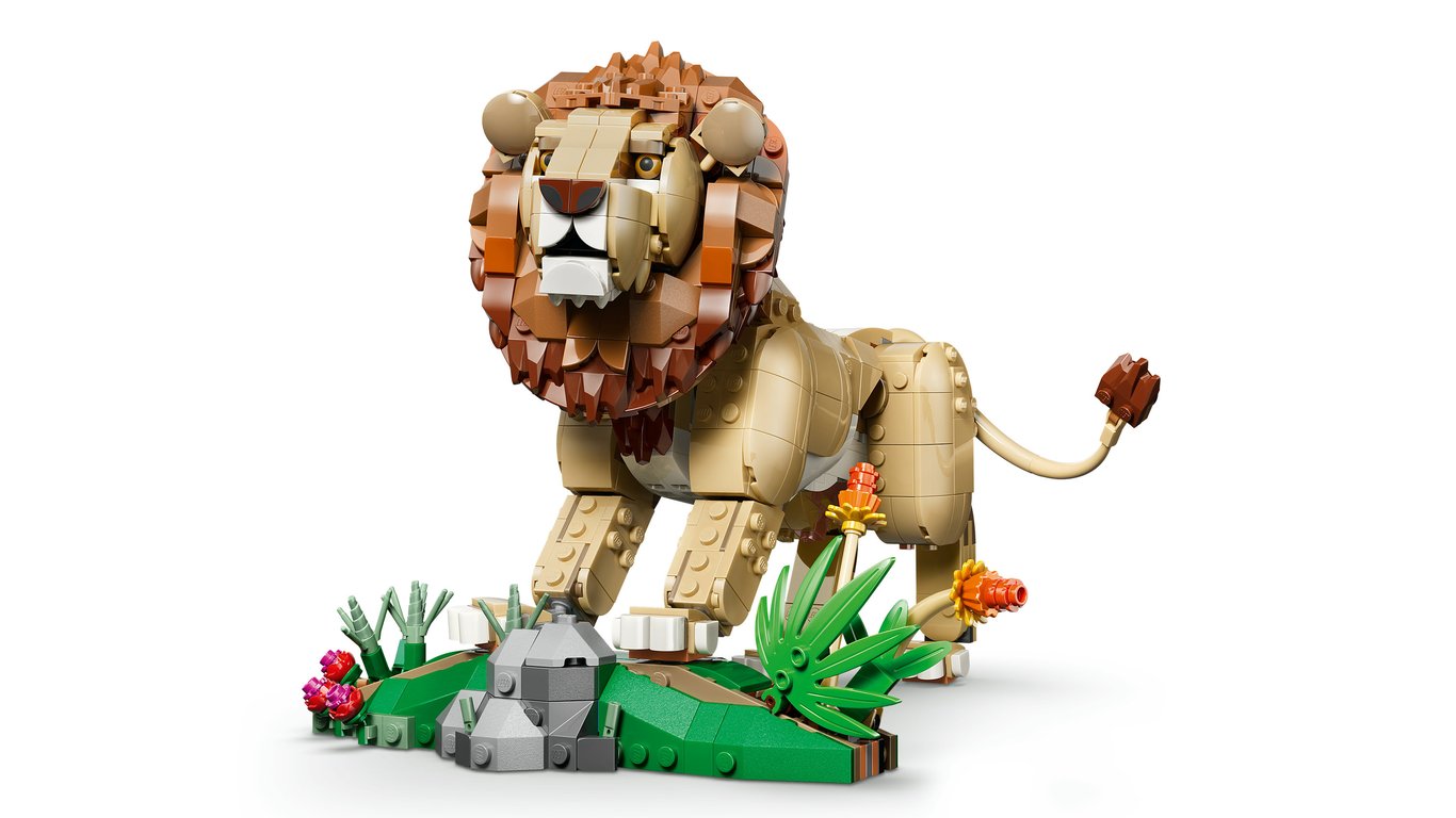 LEGO Creator Dzikie zwierzęta: Dumny lew