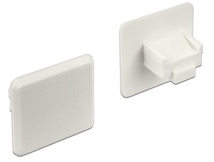 DeLOCK 64019 RJ-45-uttagsadapter, vit, 10 st.