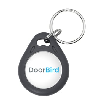 DoorBird 423860605 centralny zamek z pilotem i brelok do kluczy RF Wireless Szary