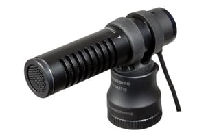 Panasonic VW-VMS10 Czarny Mikrofon kamery cyfrowej