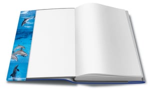HERMA 20260 Magazine and Book Cover, Blue