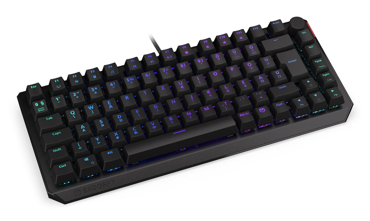 ENDORFY EY5E007 klawiatura Gaming USB Węgierski Czarny