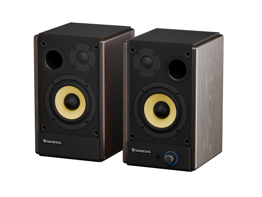 фото Акустические колонки Genesis Arsen 402BT Black/Brown (NGS-2416) 3