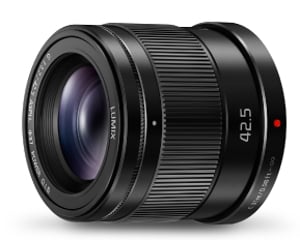 Panasonic H-HS043E Bezlusterkowiec Teleobiektyw Czarny
