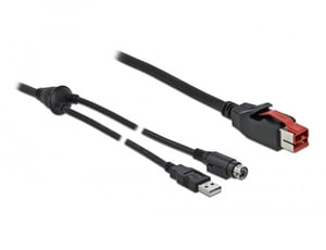 DeLOCK PoweredUSB Male 24 V > USB Type-A Male + Mini-DIN 3-pin Male 2 m Cable for Printers and POS Terminals