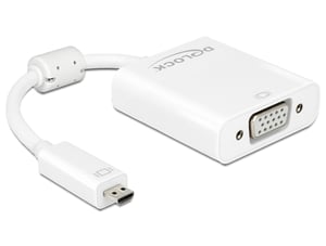 DeLOCK 65557 zewnętrzna karta graficzna usb 1920 x 1080 px Biały