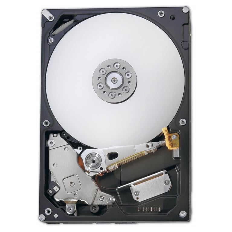 IBM 1000GB SAS 3.5" dysk twardy 1 TB 7200 RPM 3.5"