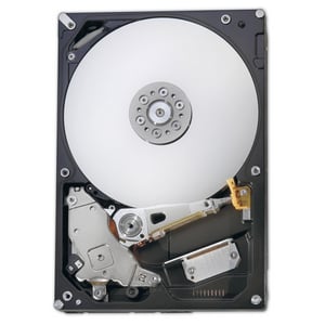 IBM 1000GB SAS 3.5" dysk twardy 1 TB 7200 RPM 3.5"