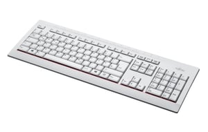 Fujitsu KB521 PL Tastatur Büro USB Polnisch Grau
