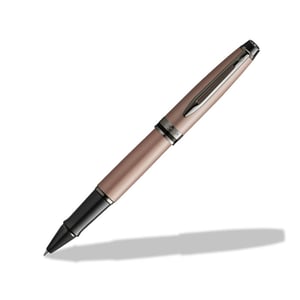 Waterman Expert 1 st.