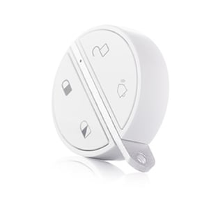 Somfy 2401489 Zentralverriegelung mit Fernbedienung und RF-Funk-Schlüsselanhänger, weiß